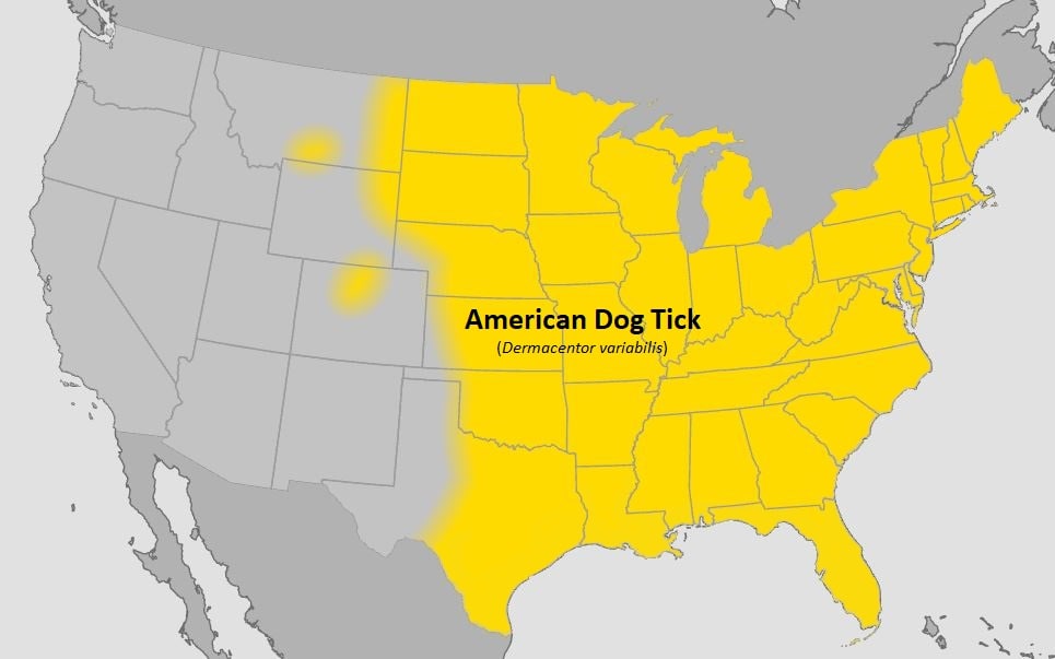 Map of the continental United States showing where in the U.S. the American Dog Tick is located. The entire eastern half of the country is highlighted.