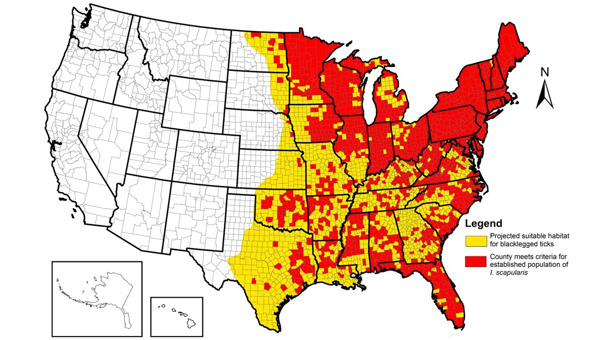 Image shows map of the United States highlighting suitable habitat for Ixodes scapularis and in which counties this tick is established.