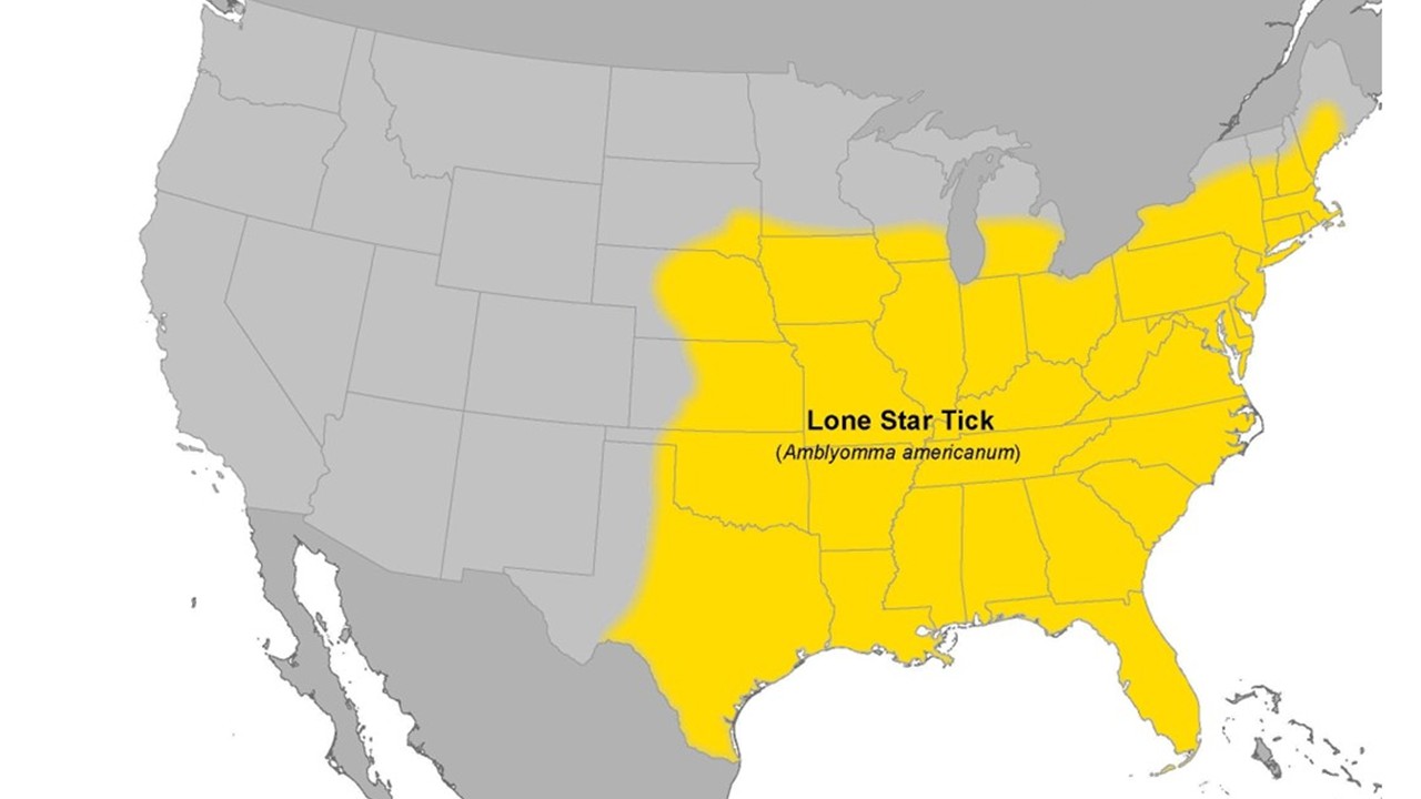 Map of the United States showing the approximate distribution of the lone star tick.