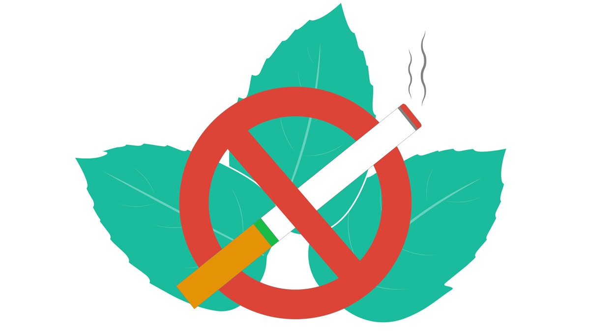 A menthol leaf and a menthol cigarette with no smoking symbol