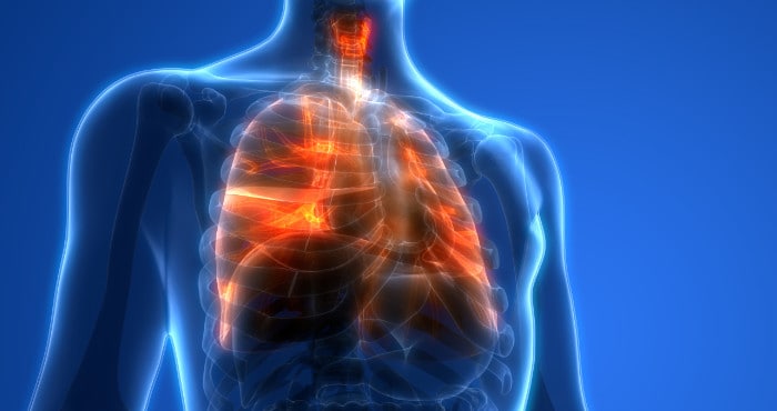 700px x 370px - Outbreak of Lung Injury Associated with the Use of E ...