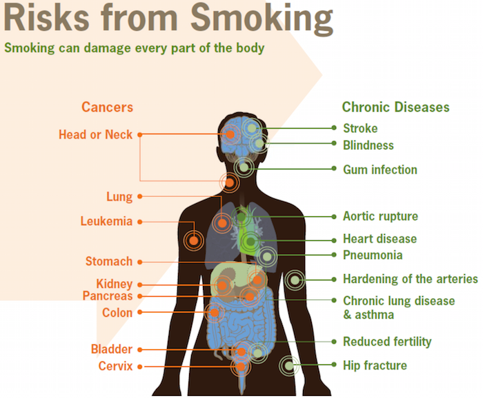 Cdc Fact Sheet Health Effects Of Cigarette Smoking Smoking