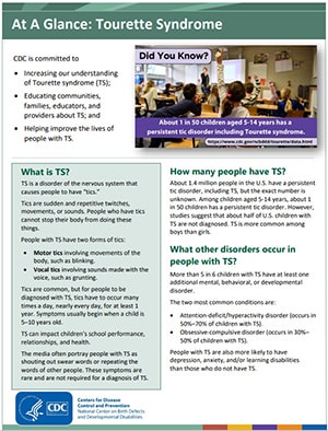 Graphic shows the front of the Tourette Syndrome Overview Fact Sheet.
