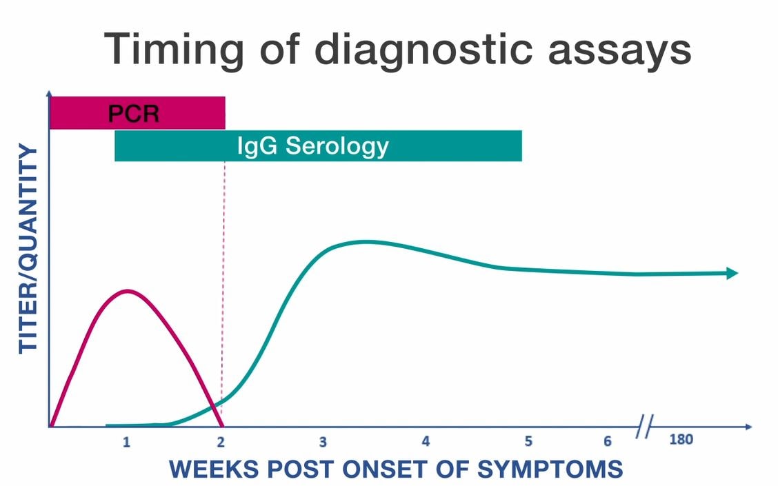 Line graph displaying timing of diagnostic assays (quantity based on weeks post onset of symptoms), including PCR and IGg Serology assays.