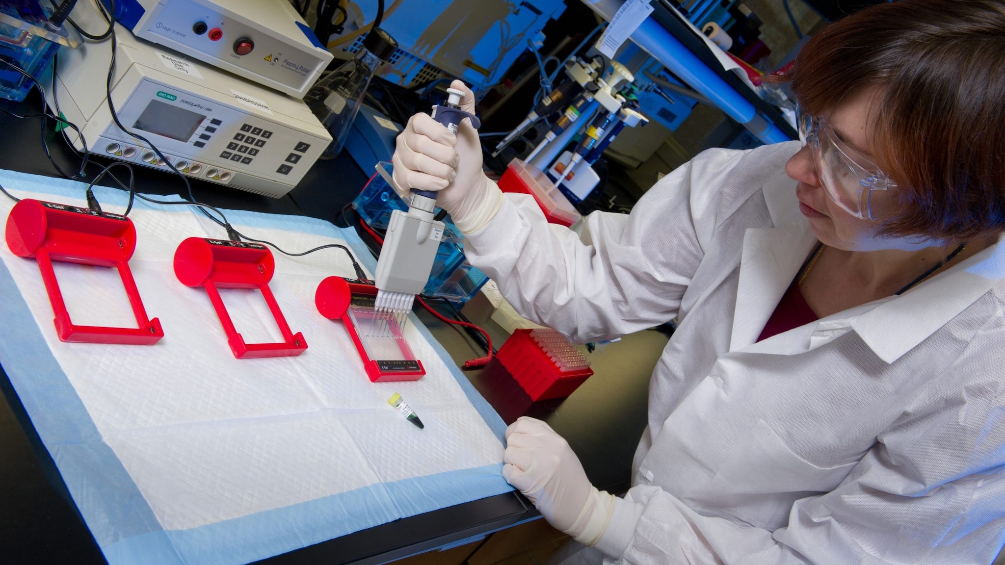 Laboratory scientist loading e-gel