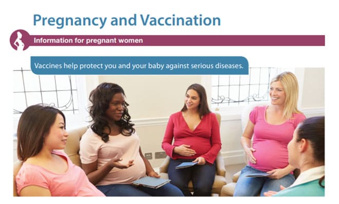 Pregnancy and Vaccination fact sheet