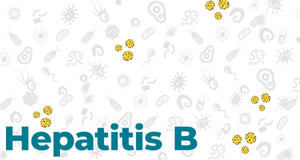Hepatitis B and the Vaccine (Shot)