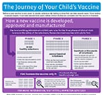 Infografía titulada: La trayectoria de la vacuna de su hijo