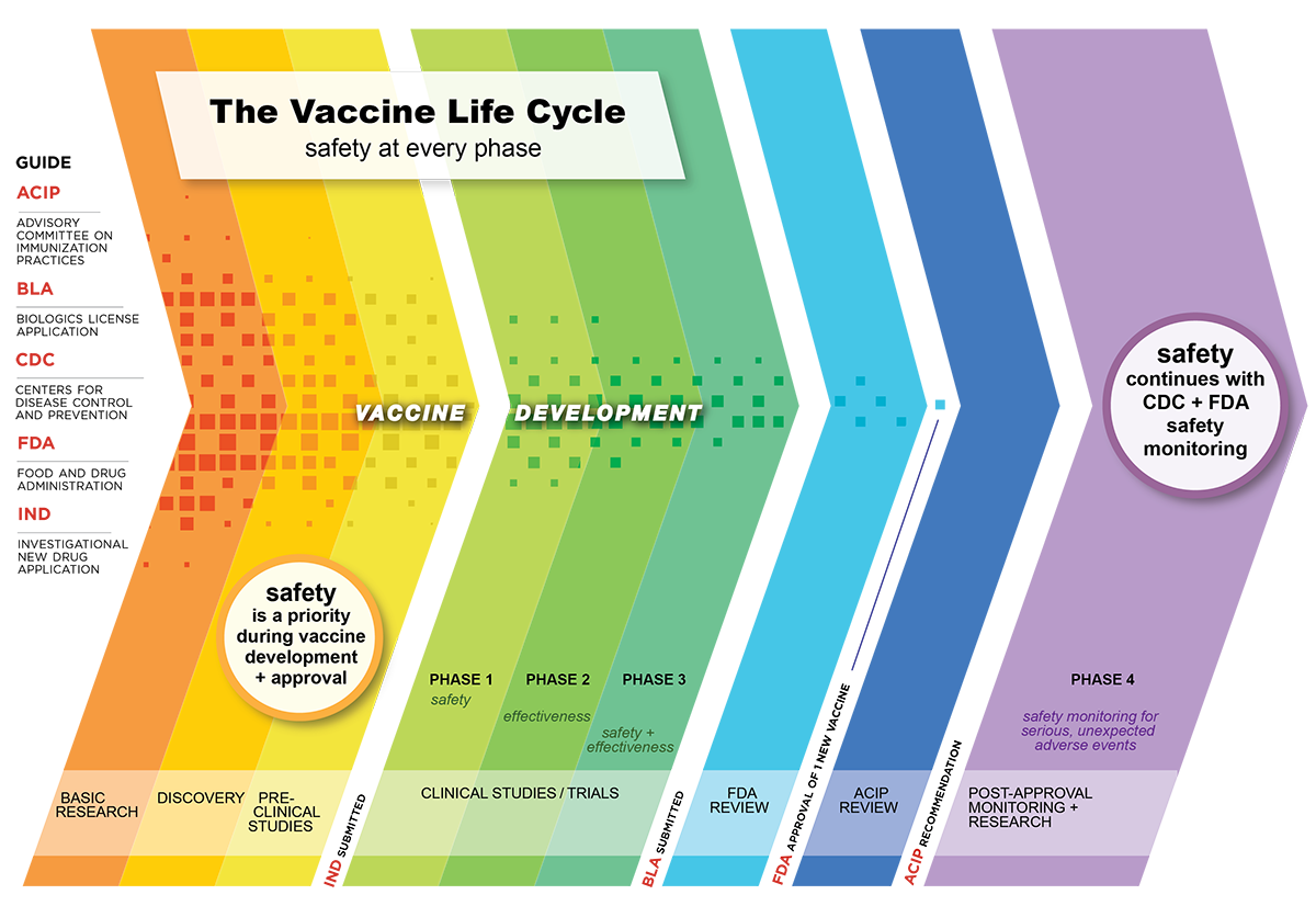 timeline of vaccines