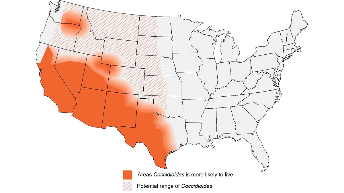 Map showing estimated areas for Coccidioides in the United States