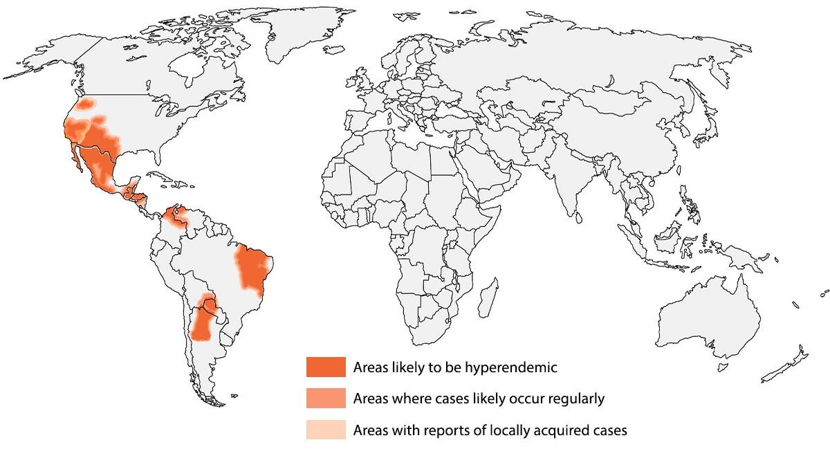 Map showing estimated areas Estimated areas for Coccidioides worldwide