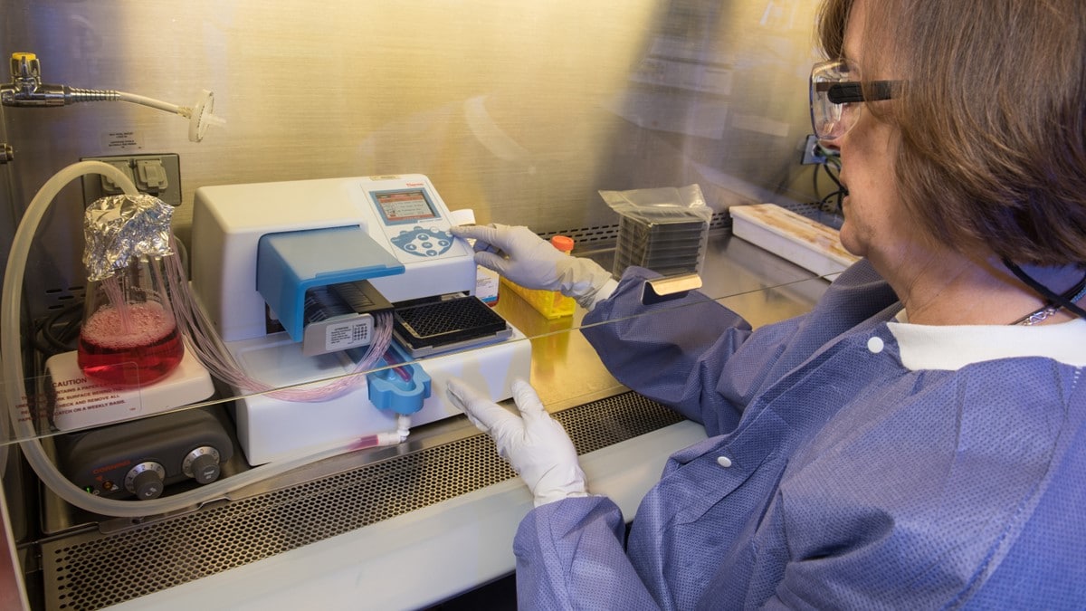 Photo of a laboratory professional performing vector-borne disease testing