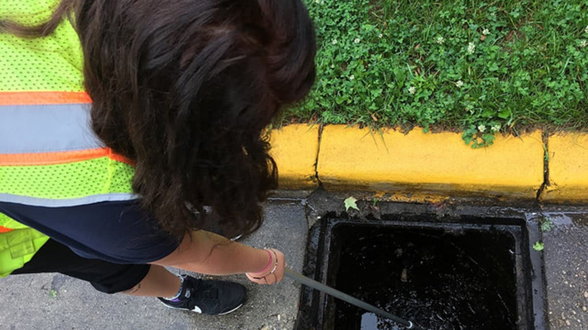 Photo of a mosquito control professional conducting sewer surveillance