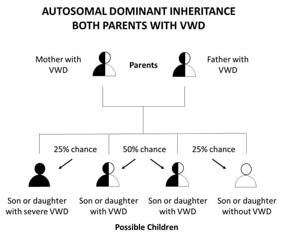 Herencia autosómica dominante de ambos padres con la enfermedad de Von Willebrand.