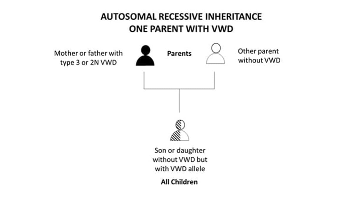 Autosomal Recessive Inheritance One Parent With VWD