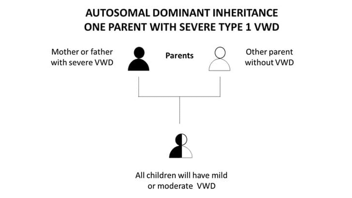 Autosomal Dominant Inheritance One Parent With Severe Type 1 VWD