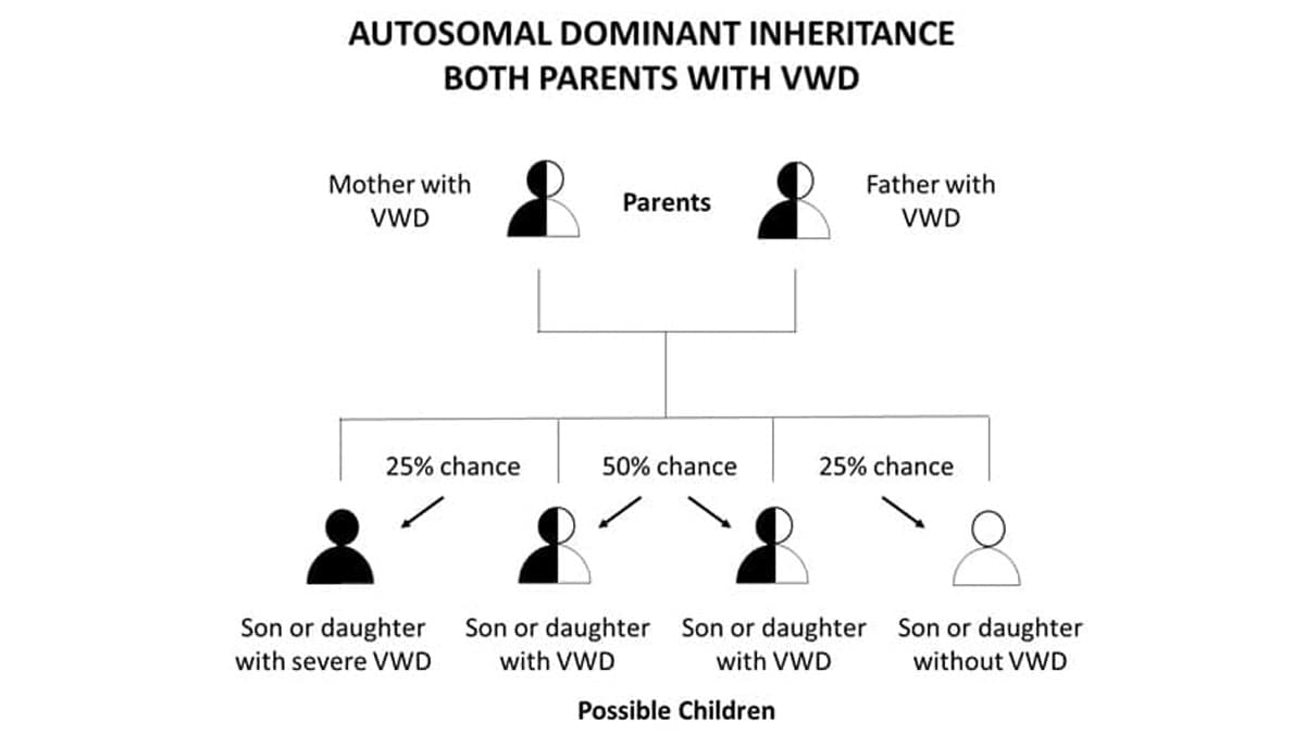 Autosomal Dominant Inheritance Both Parents With VWD