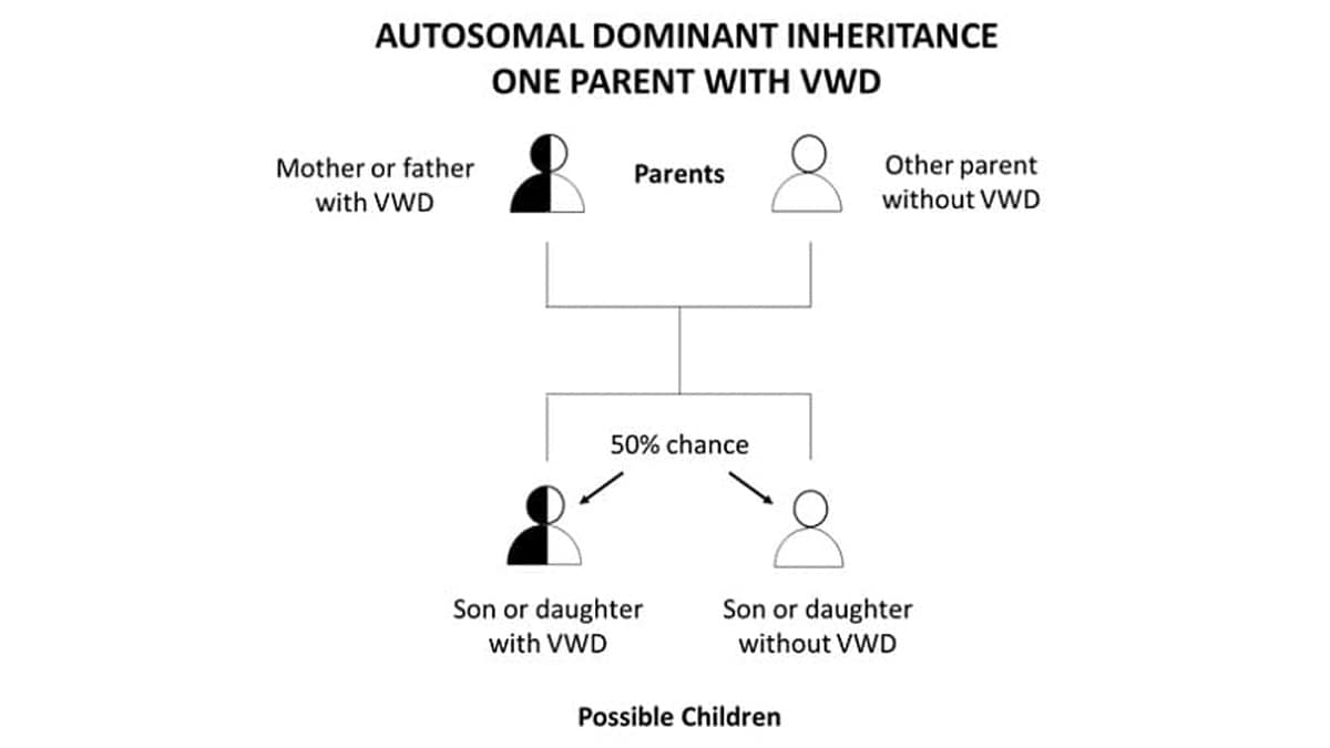 Autosomal Dominant Inheritance One Parent With VWD
