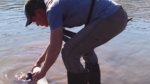 A scientist bending over to collect a water sample from an outdoor body of water.