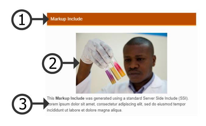 Screen Capture of a WCMS SSI Module that was added into a Markup Include Data Visualization