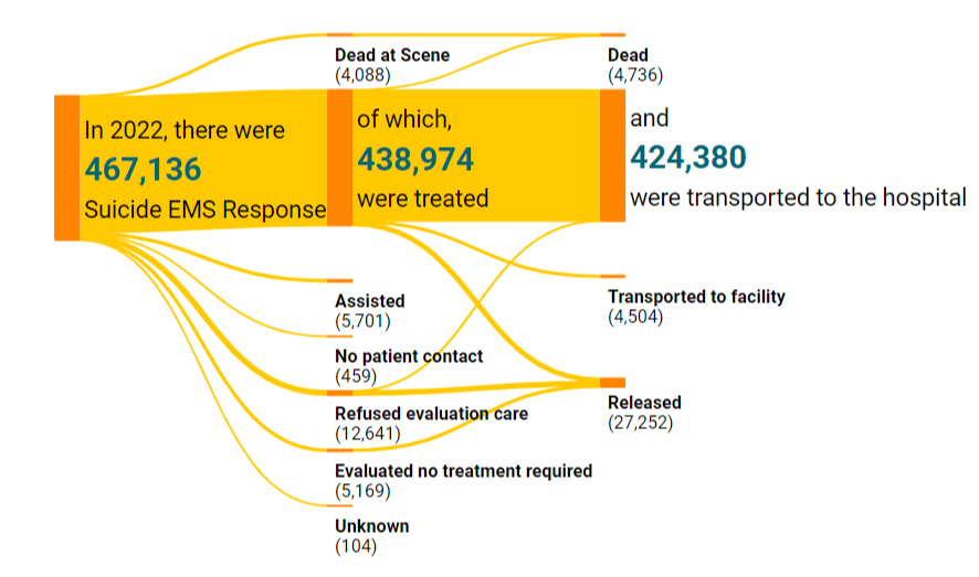 Image capture of a WCMS generated Sankey Diagram