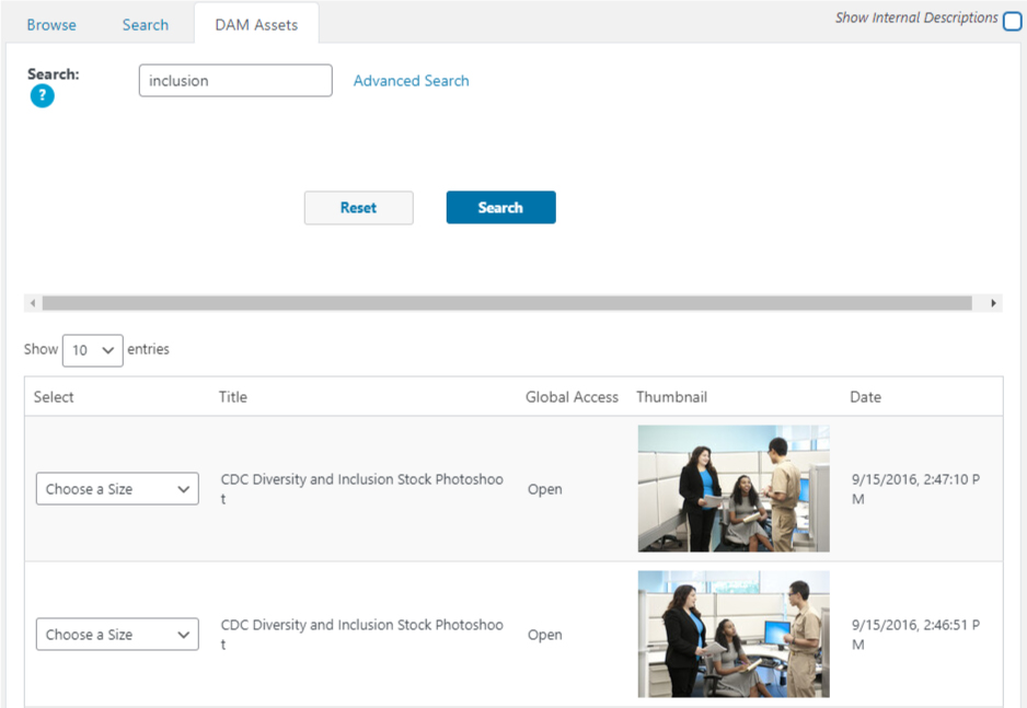 Standard-DAM-Search Screen Capture of the Digital Asset Manager Interface screen for the WCMS