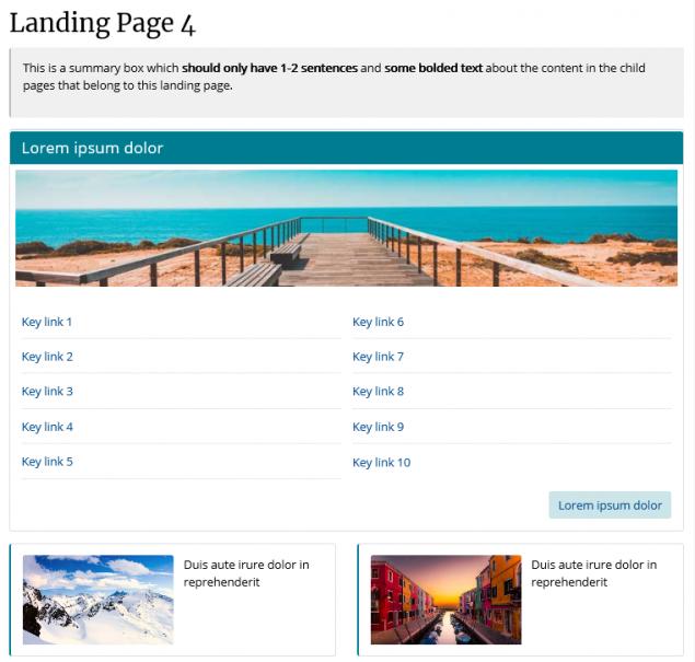 Example landing page 1