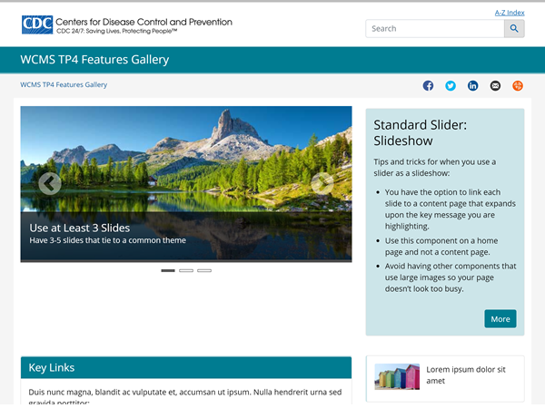 Example page with standard slider as a slideshow