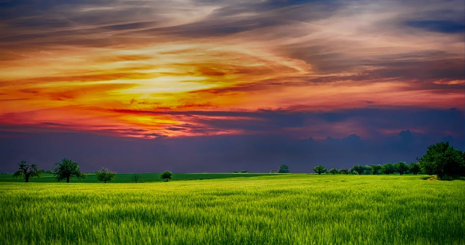 sunrise over a green valley