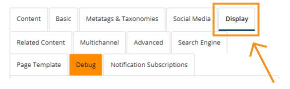 Screen Capture of the Display Tab in the WCMS page editor Screen Capture of the Display Tab in the WCMS page editor