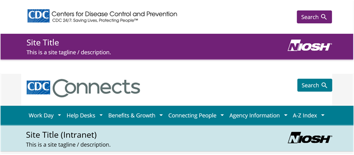 Site title bars for internet and intranet