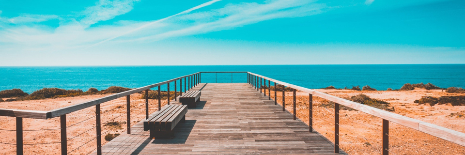 banner-960x320 Sample image