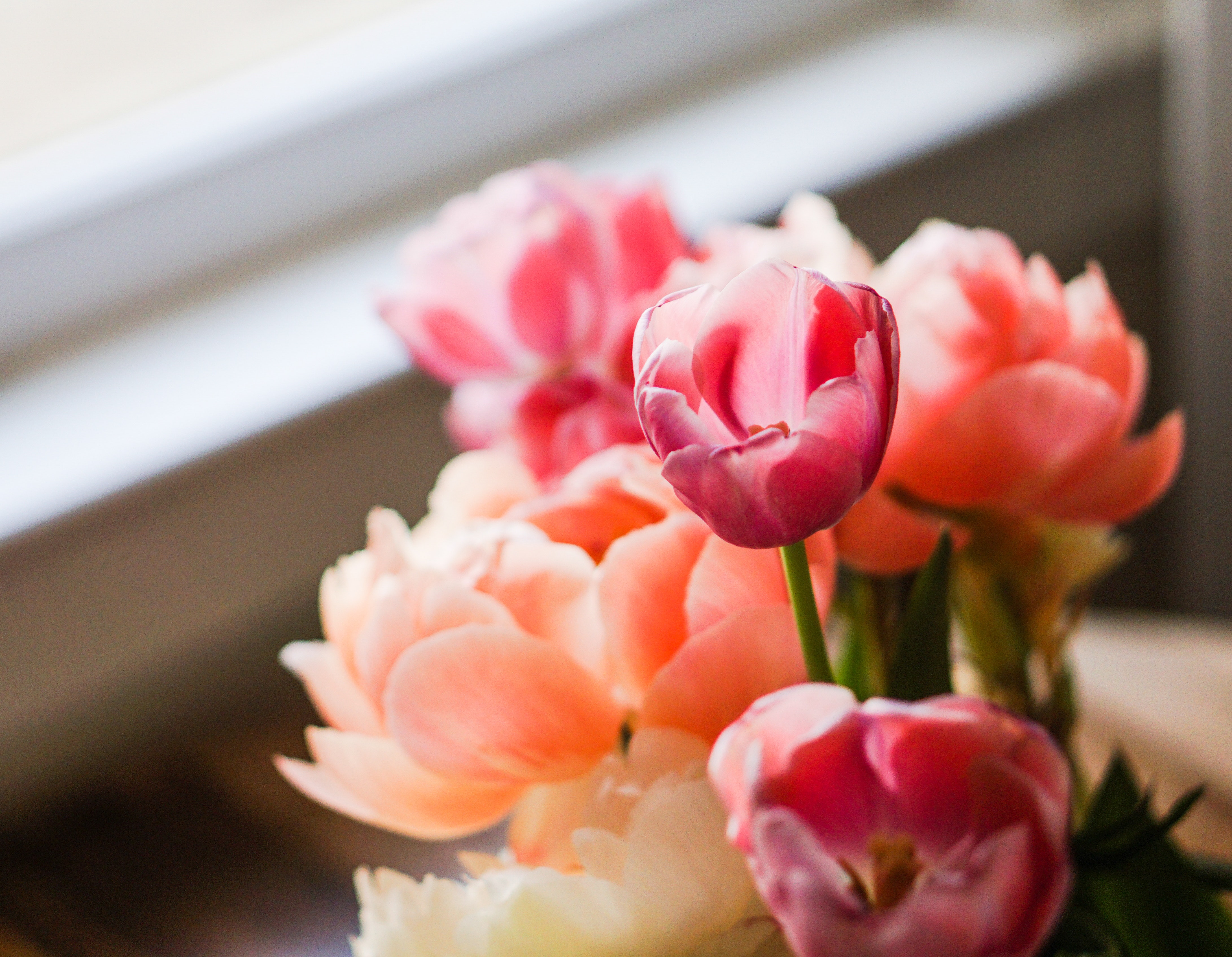 Example image: roses