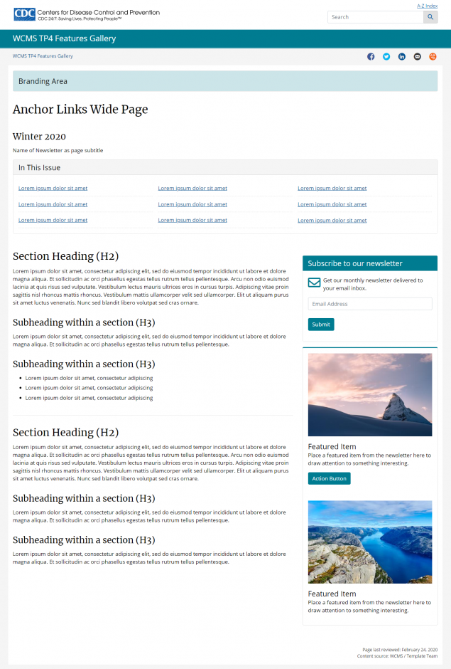 One-Page Newsletter, Wide Layout