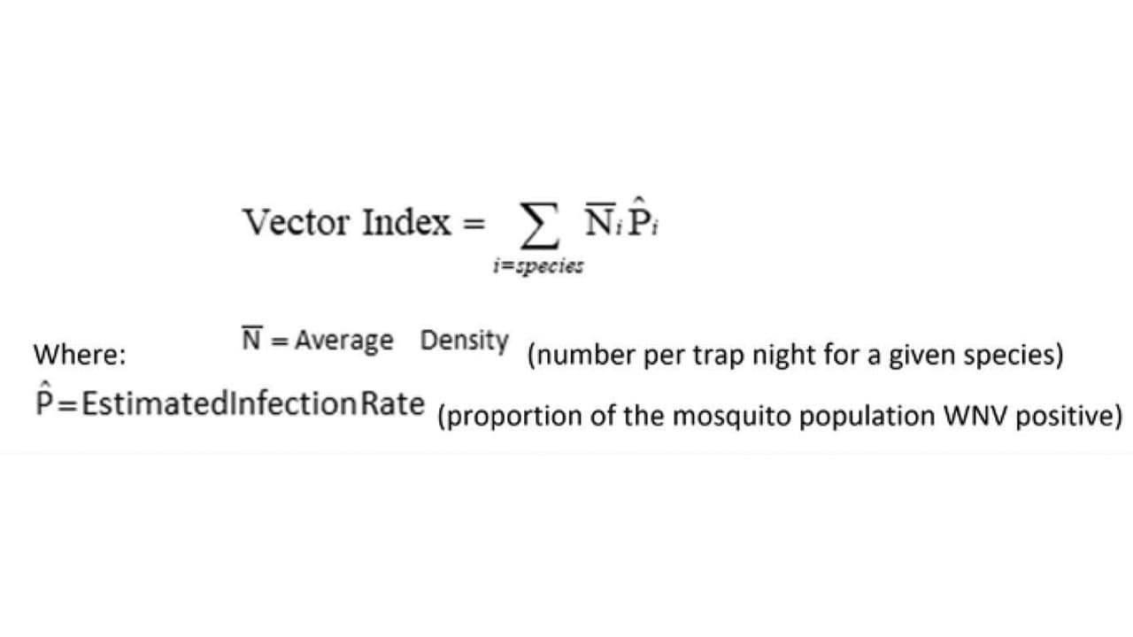 Vector index formula