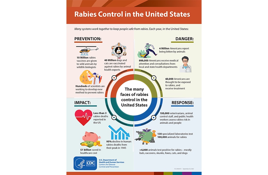 World Rabies Day Cdc