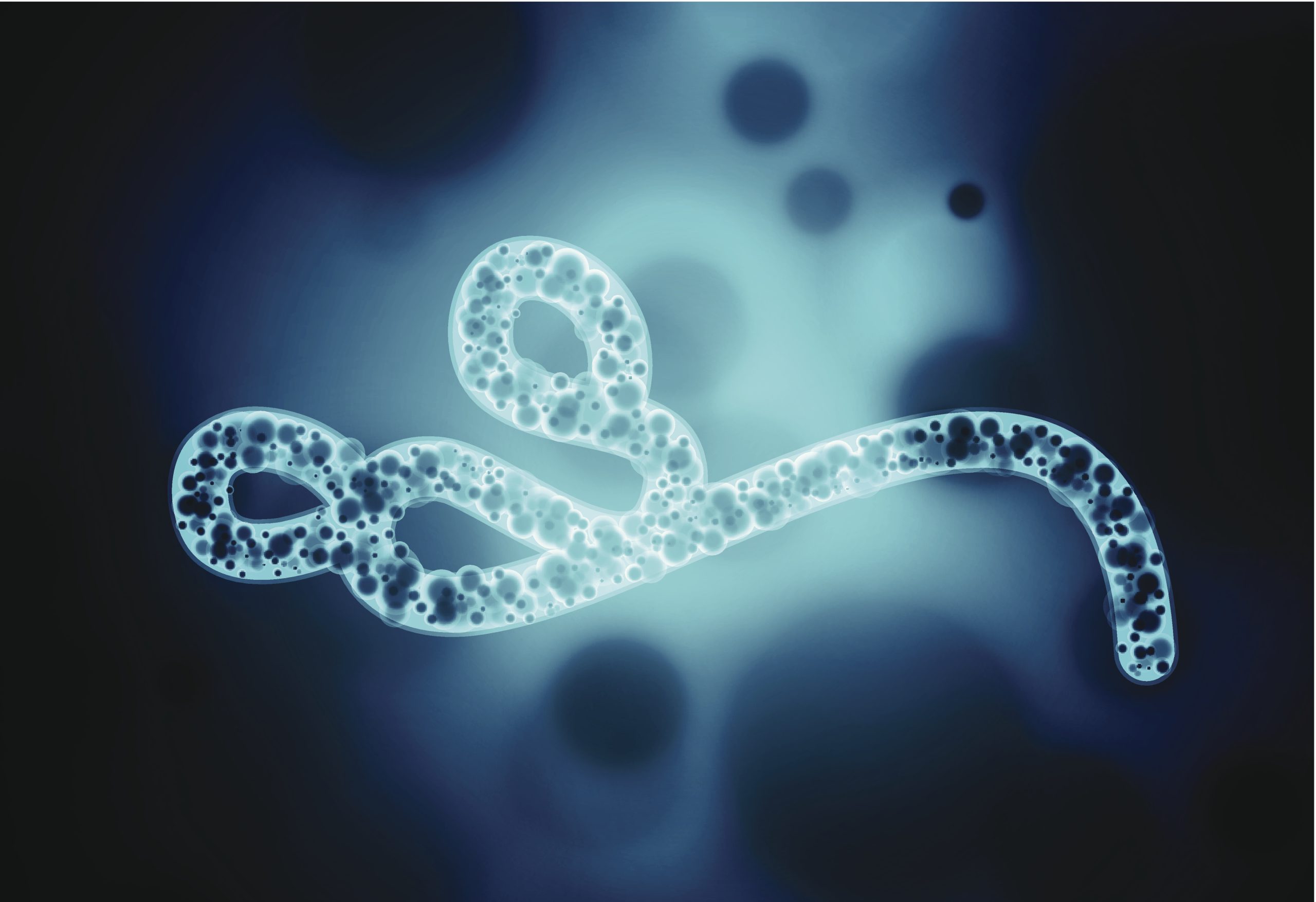 Artistic illustration of Ebola virus.