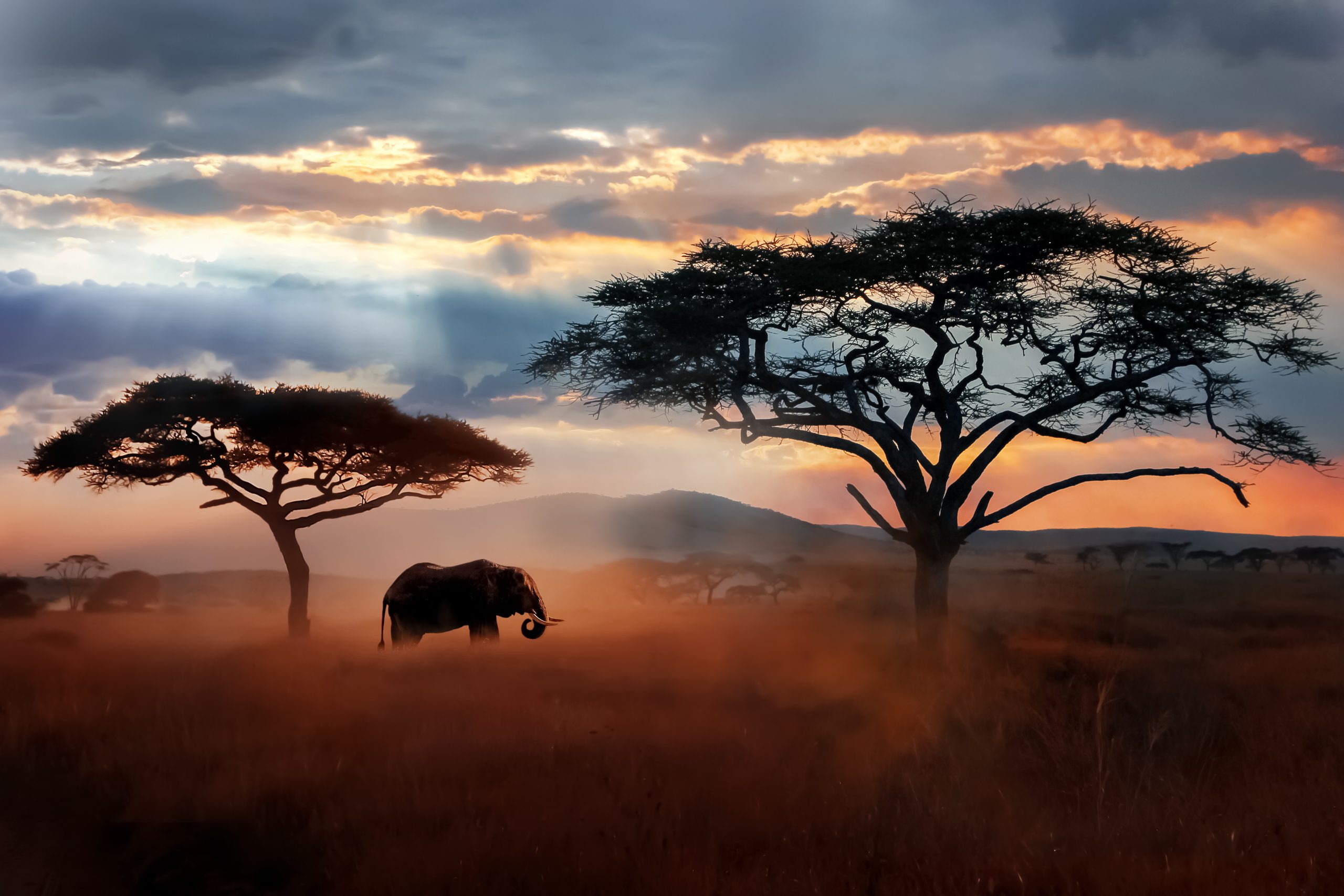 Landscape from the Serengeti National Park in Tanzania.