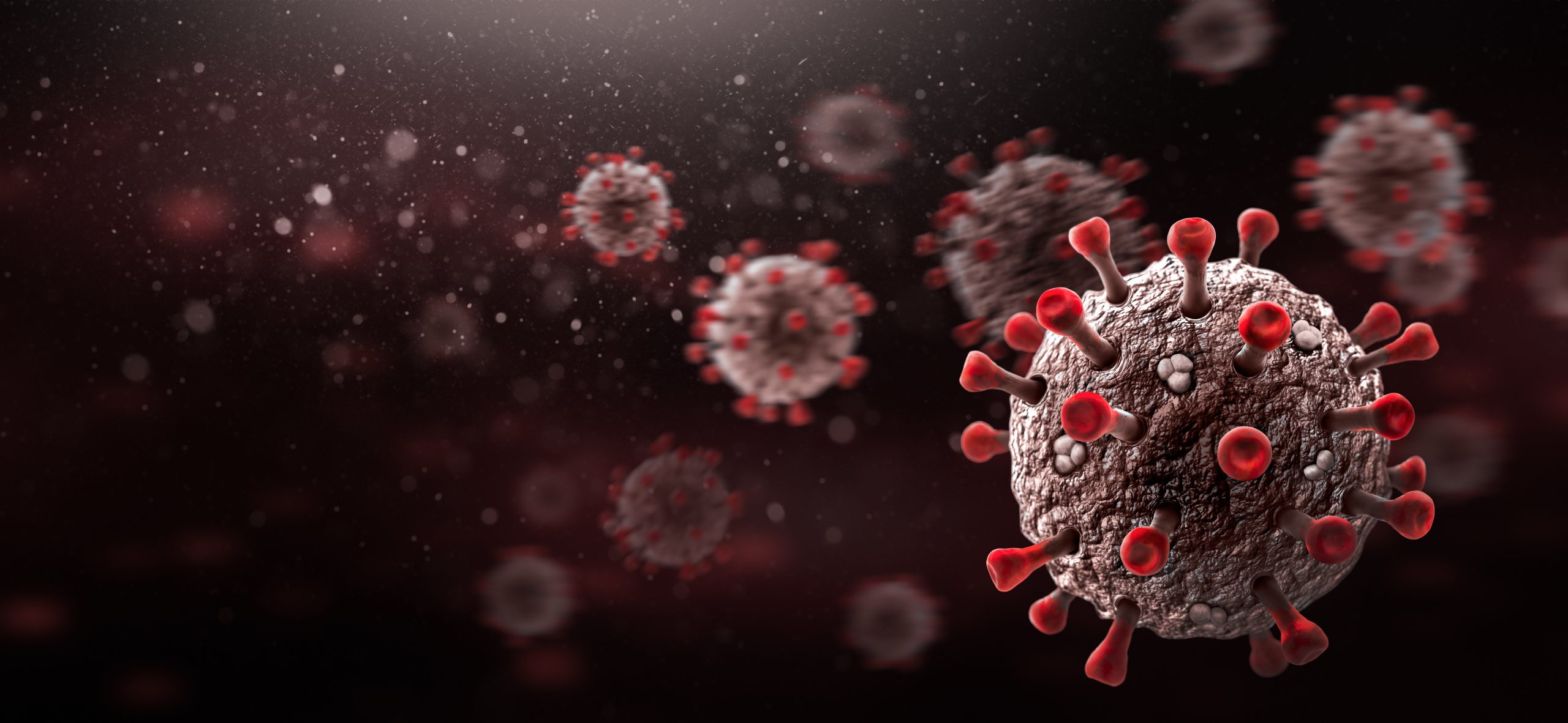 This image shows microscopic SARS-CoV-2 viruses, as gray spheres with red spikes on them.