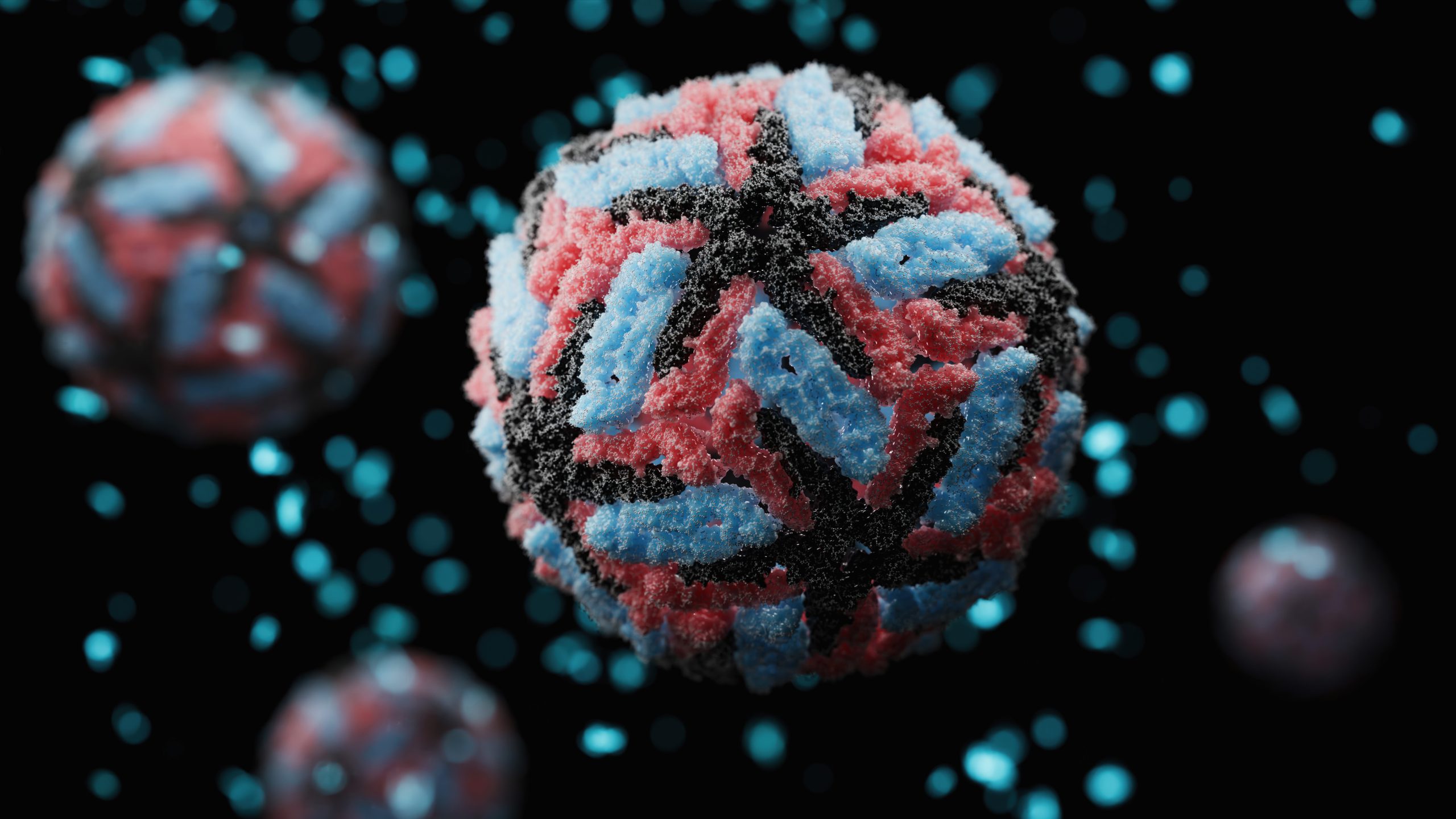 This illustration shows microscopic dengue viruses with blue, red, and black matter forming a sphere.