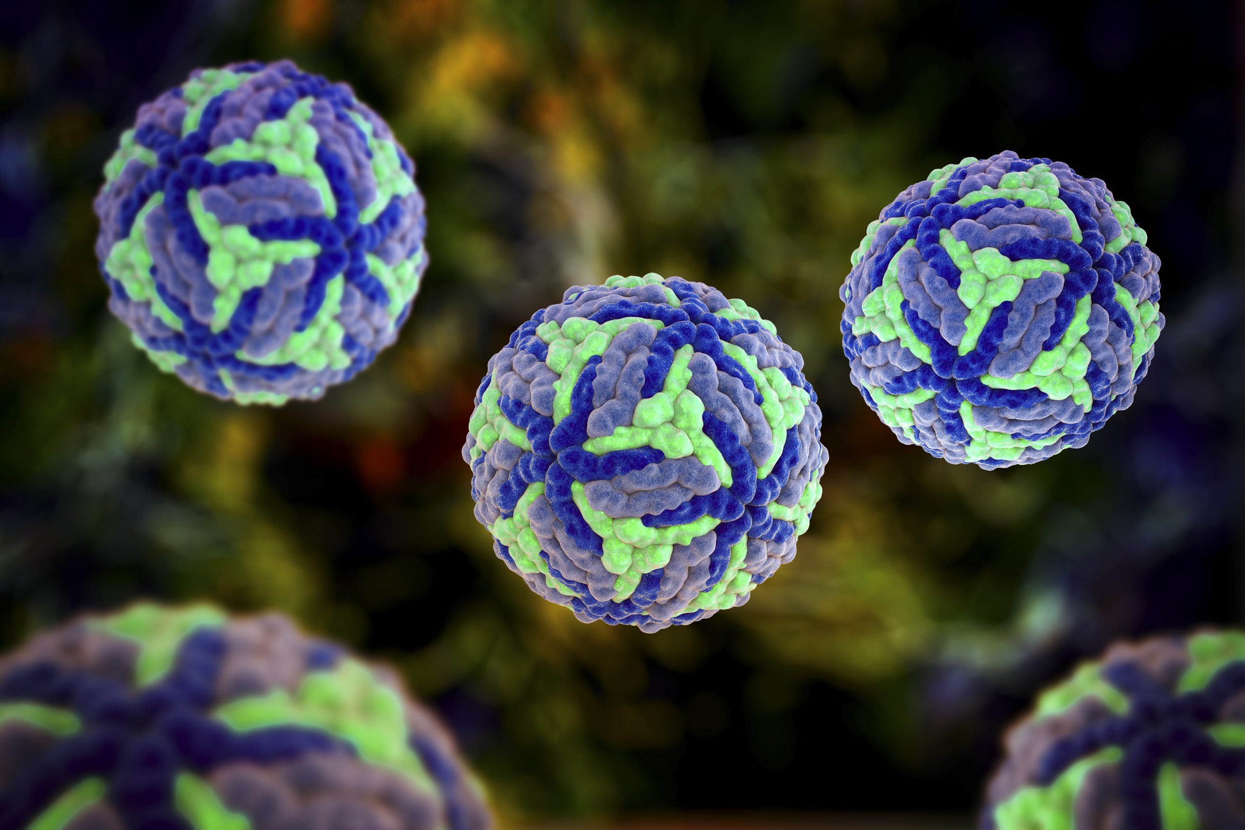 This image shows microscopic Japanese Encephalitis virus as blue, green, and gray colored spheres.