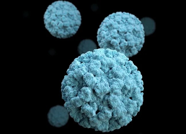 This image shows microscopic, blue, spherical viruses.