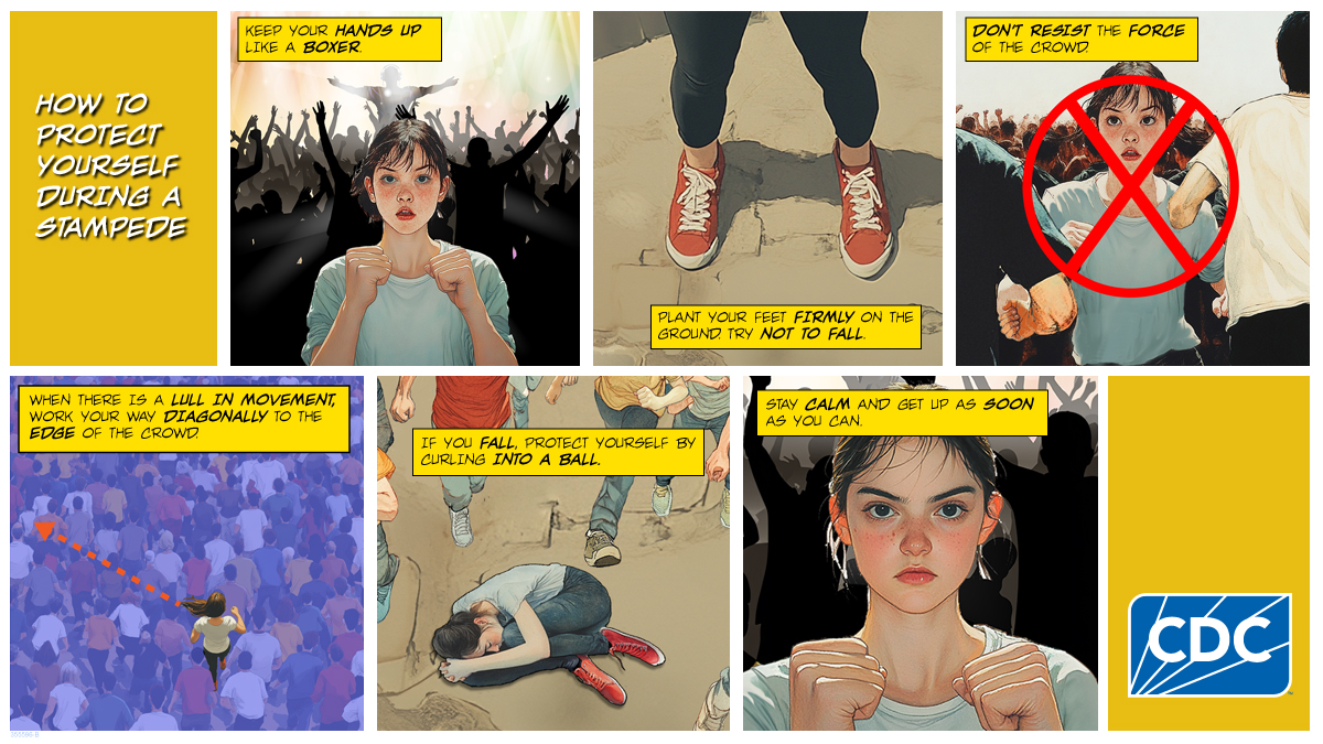 See text description.