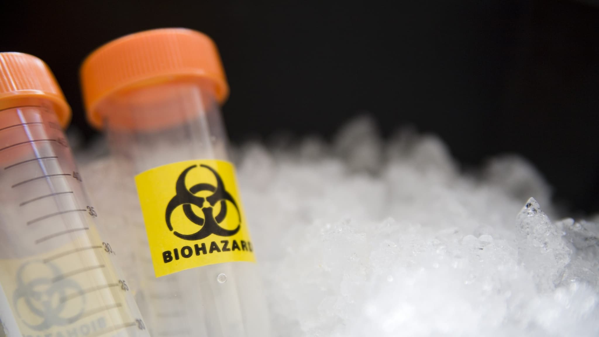 Tubes in styrofoam labelled "biohazard"
